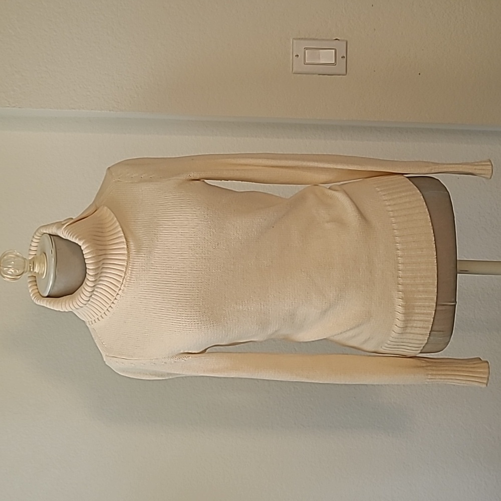 Banana Republic Turtle Neck Knit Sweater